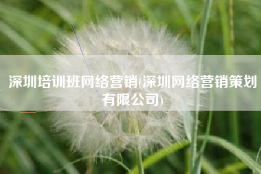 深圳培训班网络营销(深圳网络营销策划有限公司)