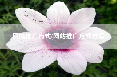 网站推广方式(网站推广方式推荐)