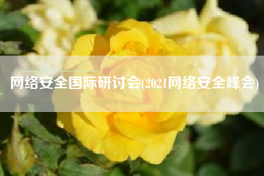 网络安全国际研讨会(2021网络安全峰会)