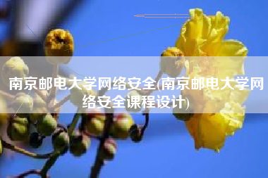 南京邮电大学网络安全(南京邮电大学网络安全课程设计)