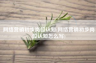 网络营销初步岗位认知(网络营销初步岗位认知怎么写)