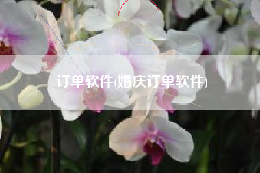 订单软件(婚庆订单软件)