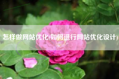怎样做网站优化(如何进行网站优化设计)