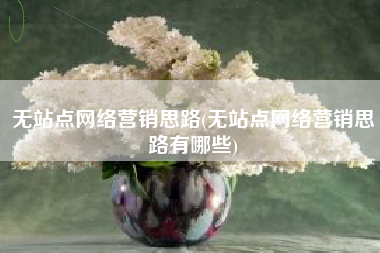 无站点网络营销思路(无站点网络营销思路有哪些)