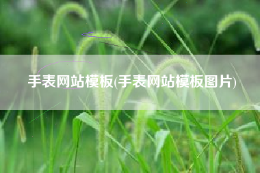 手表网站模板(手表网站模板图片)