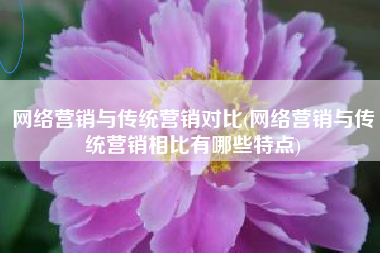 网络营销与传统营销对比(网络营销与传统营销相比有哪些特点)