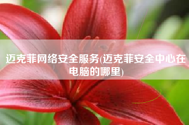 迈克菲网络安全服务(迈克菲安全中心在电脑的哪里)