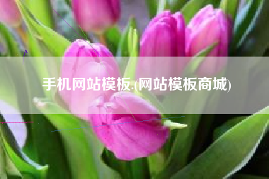 手机网站模板.(网站模板商城)