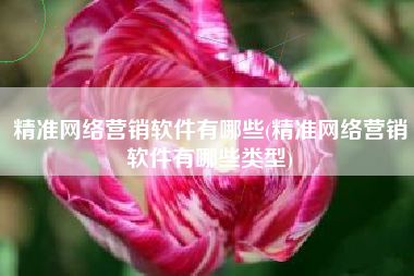 精准网络营销软件有哪些(精准网络营销软件有哪些类型)