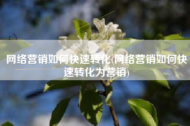 网络营销如何快速转化(网络营销如何快速转化为营销)