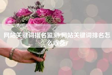 网站关键词排名监测(网站关键词排名怎么收费)