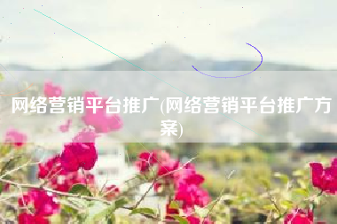 网络营销平台推广(网络营销平台推广方案)