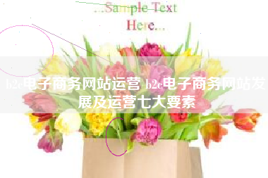 b2c电子商务网站运营 b2c电子商务网站发展及运营七大要素