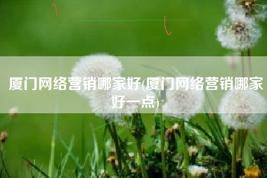 厦门网络营销哪家好(厦门网络营销哪家好一点)