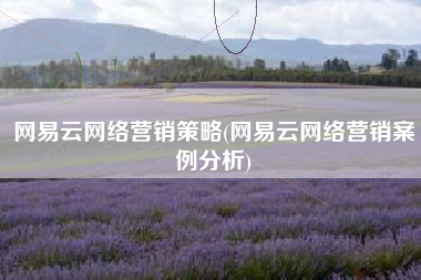 网易云网络营销策略(网易云网络营销案例分析)