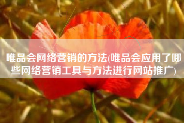 唯品会网络营销的方法(唯品会应用了哪些网络营销工具与方法进行网站推广)