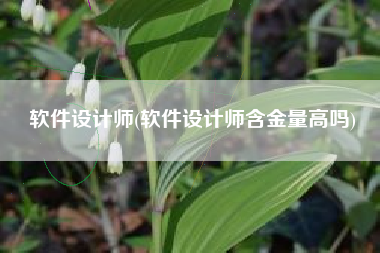软件设计师(软件设计师含金量高吗)