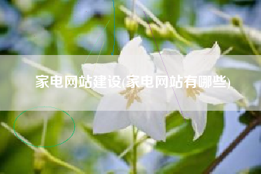 家电网站建设(家电网站有哪些)