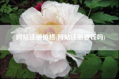 网站注册价格(网站注册要钱吗)