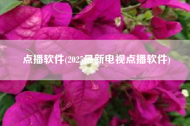 点播软件(2025最新电视点播软件)
