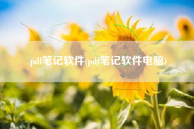 pdf笔记软件(pdf笔记软件电脑)