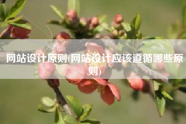 网站设计原则(网站设计应该遵循哪些原则)