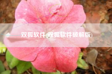 双狐软件(双狐软件破解版)