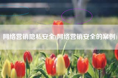 网络营销隐私安全(网络营销安全的案例)