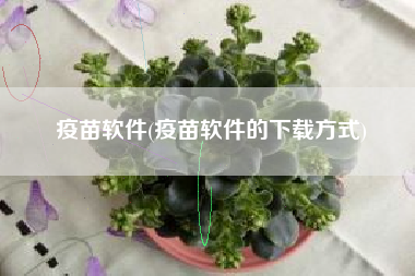 疫苗软件(疫苗软件的下载方式)