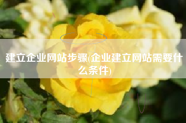 建立企业网站步骤(企业建立网站需要什么条件)