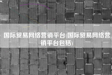 国际贸易网络营销平台(国际贸易网络营销平台包括)