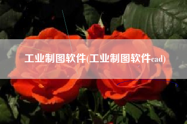 工业制图软件(工业制图软件cad)