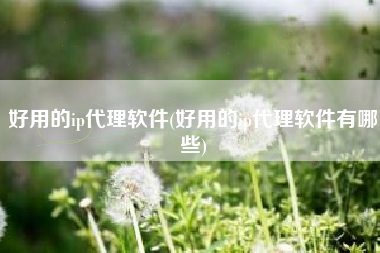 好用的ip代理软件(好用的ip代理软件有哪些)
