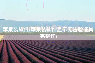 苹果装软件(苹果装软件显示无法验证其完整性)