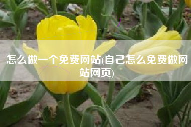 怎么做一个免费网站(自己怎么免费做网站网页)