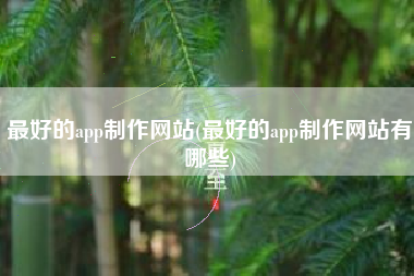 最好的app制作网站(最好的app制作网站有哪些)
