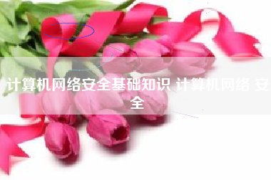 计算机网络安全基础知识 计算机网络 安全