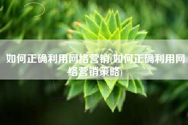 如何正确利用网络营销(如何正确利用网络营销策略)