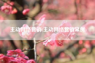 主动网络营销(主动网络营销案例)