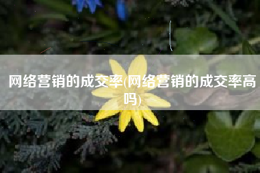 网络营销的成交率(网络营销的成交率高吗)