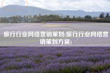 旅行行业网络营销策划(旅行行业网络营销策划方案)