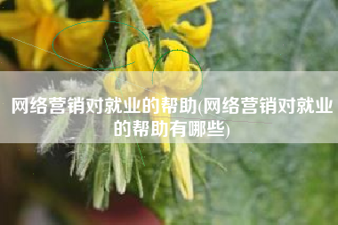 网络营销对就业的帮助(网络营销对就业的帮助有哪些)