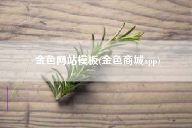 金色网站模板(金色商城app)