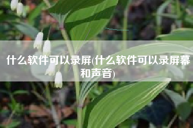 什么软件可以录屏(什么软件可以录屏幕和声音)