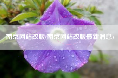 南京网站改版(南京网站改版最新消息)
