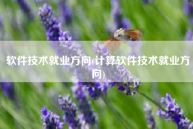软件技术就业方向(计算软件技术就业方向)