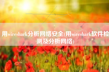 用wireshark分析网络安全(用wireshark软件检测及分析网络)