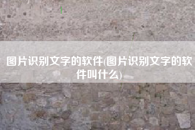 图片识别文字的软件(图片识别文字的软件叫什么)