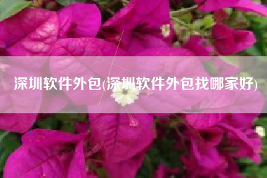 深圳软件外包(深圳软件外包找哪家好)