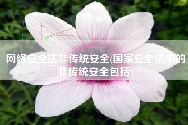 网络安全法非传统安全(国家安全法中的非传统安全包括)